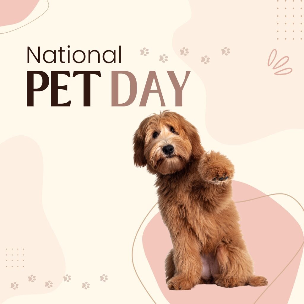 content calendar (1)